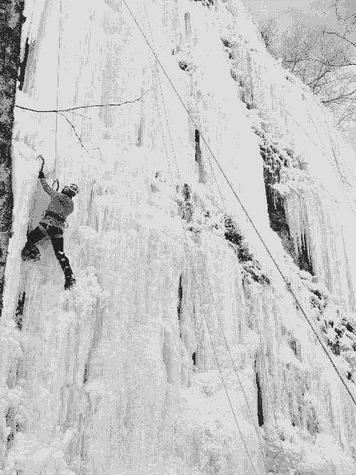 Climberonwinona